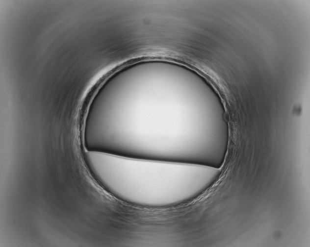 X0000100471120200806130748