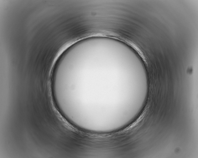 X0000100471122200806130749