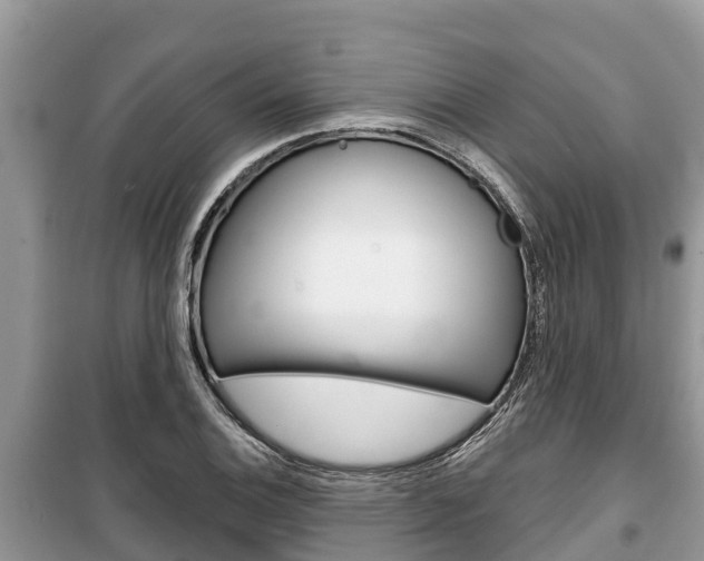X0000100471124200806130749
