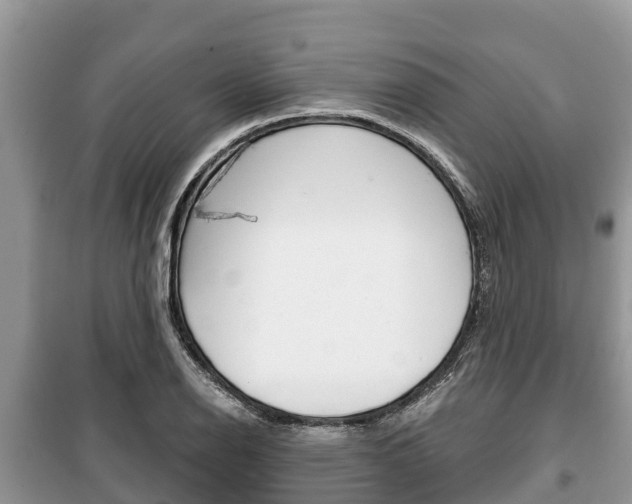 X0000100471126200806130749