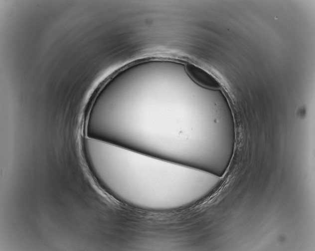 X0000100471128200806130749