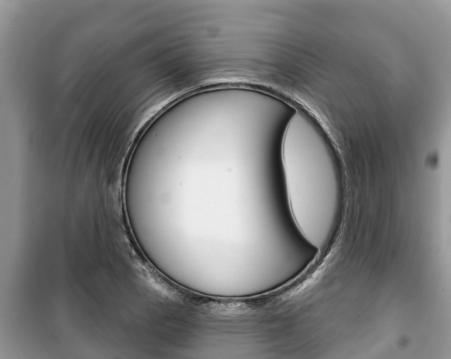X0000100471129200806130749