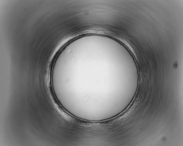 X0000100471131200806130749