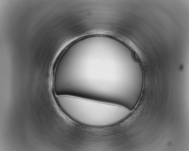 X0000100471132200806130749