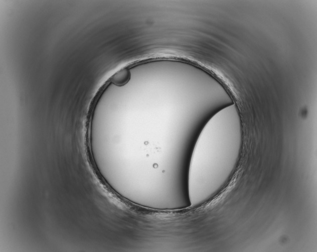 X0000100471134200806130749