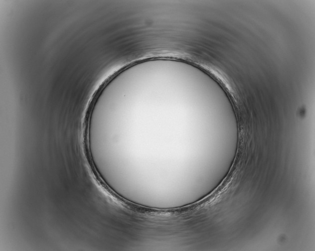 X0000100471135200806130749