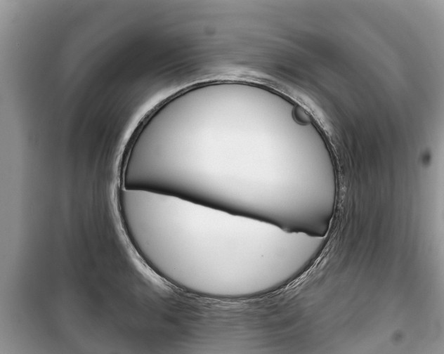 X0000100471136200806130749