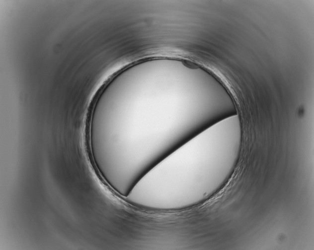 X0000100471139200806130749