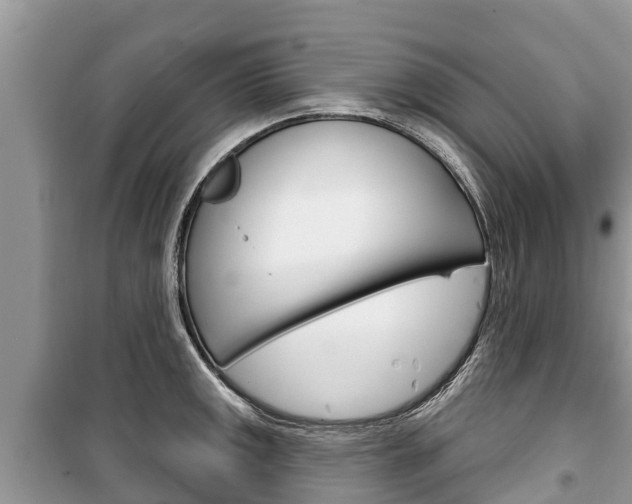 X0000100471141200806130749