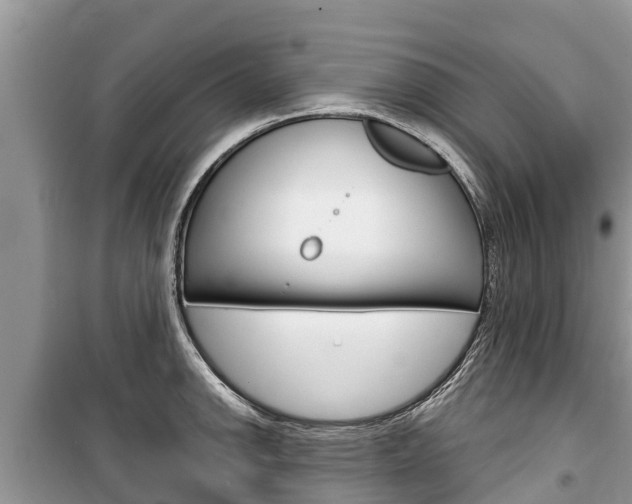 X0000100471142200806130749