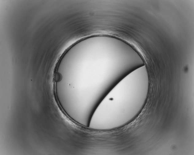 X0000100471143200806130749