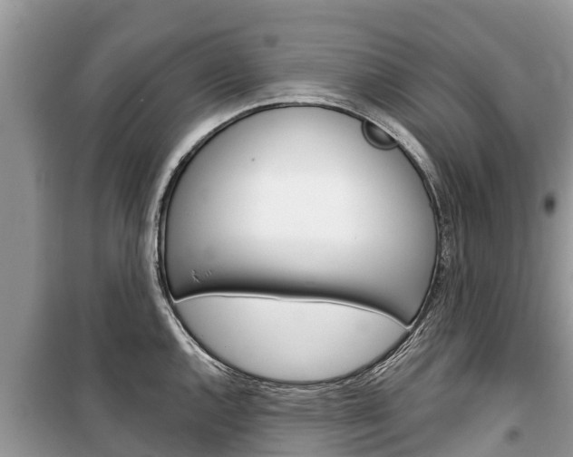 X0000100471144200806130749