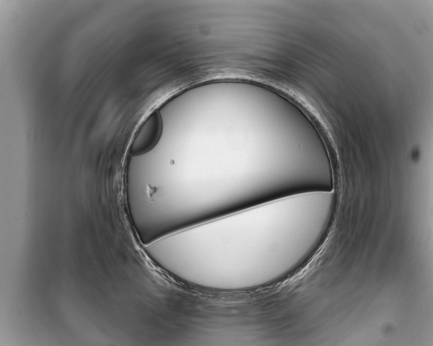 X0000100471145200806130749