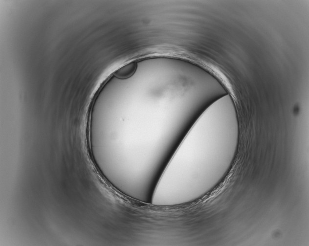 X0000100471146200806130749