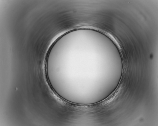 X0000100471149200806130749