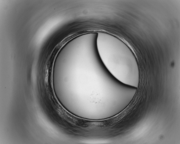 X0000100471151200806130749