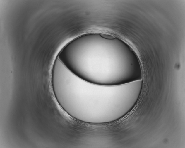 X0000100471152200806130749