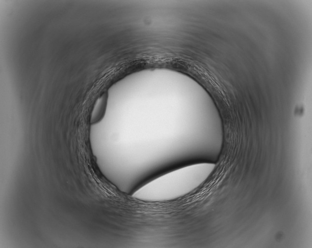 X0000100471153200806130748