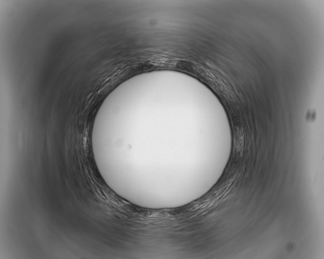 X0000100471154200806130748