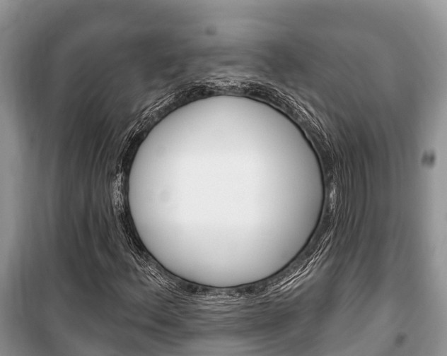 X0000100471156200806130748