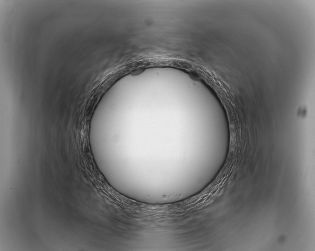 X0000100471157200806130748