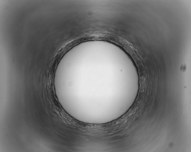 X0000100471158200806130748