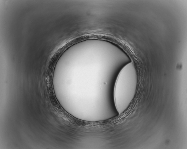 X0000100471159200806130748