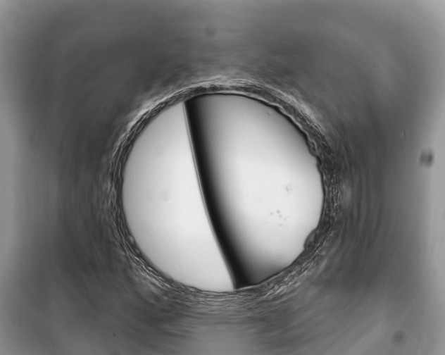 X0000100471160200806130748