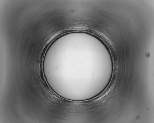X0000100471162200806130748
