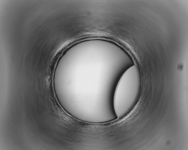 X0000100471163200806130748