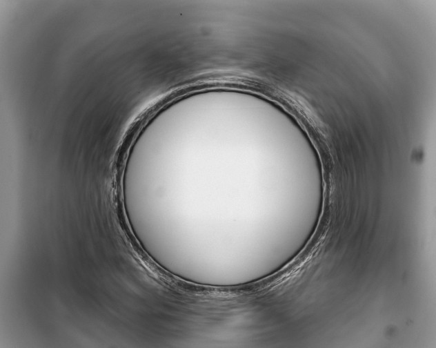 X0000100471164200806130748