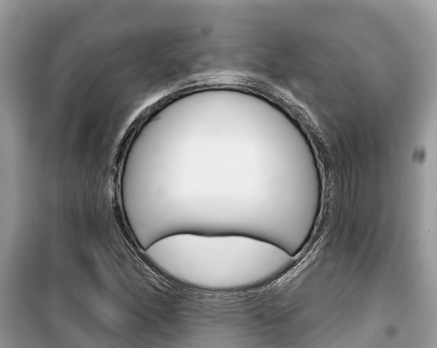 X0000100471166200806130748