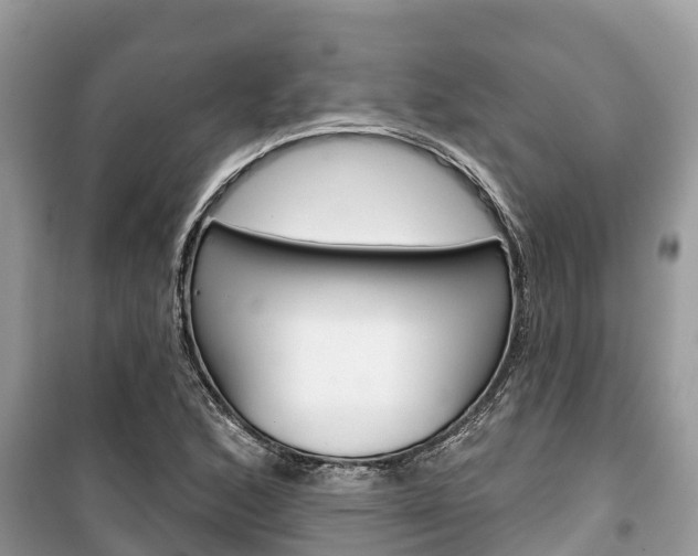X0000100471168200806130748