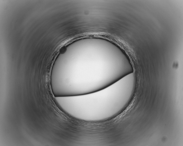 X0000100471169200806130748