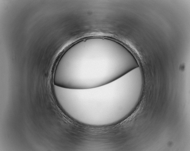 X0000100471173200806130748
