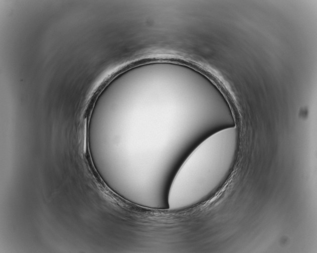 X0000100471175200806130748