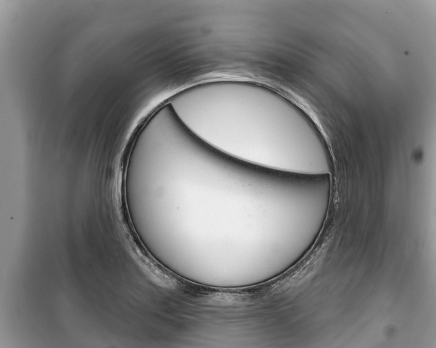X0000100471179200806130748