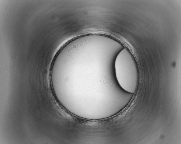 X0000100471182200806130748