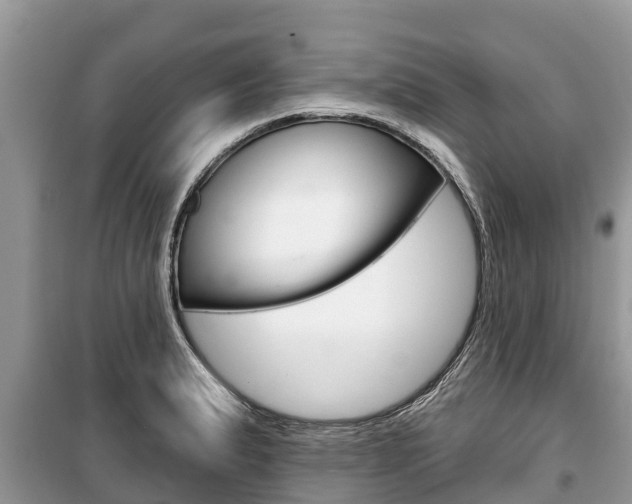 X0000100471183200806130748