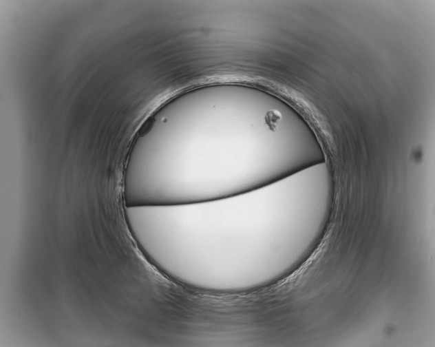 X0000100471185200806130748