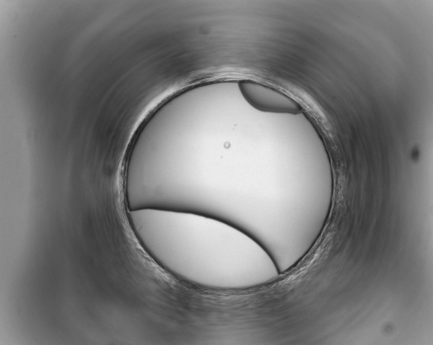 X0000100471190200806130748