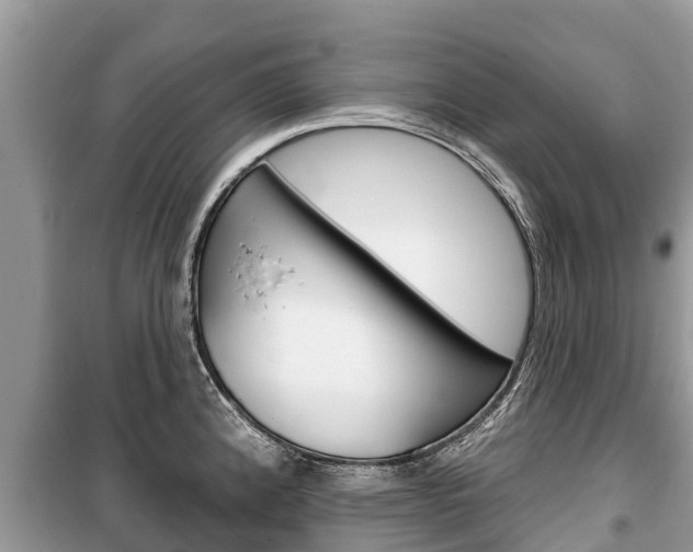 X0000100471192200806130748