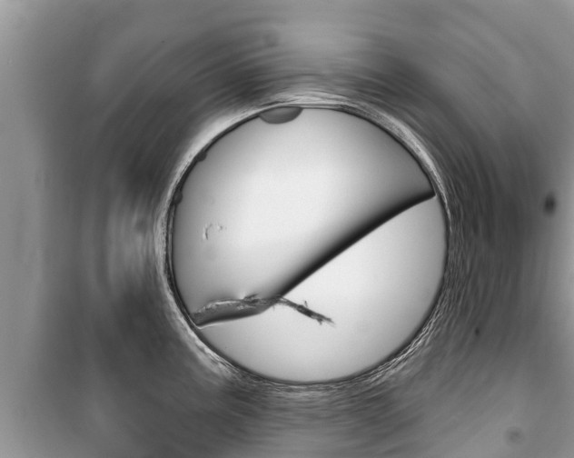 X0000100471195200806130748