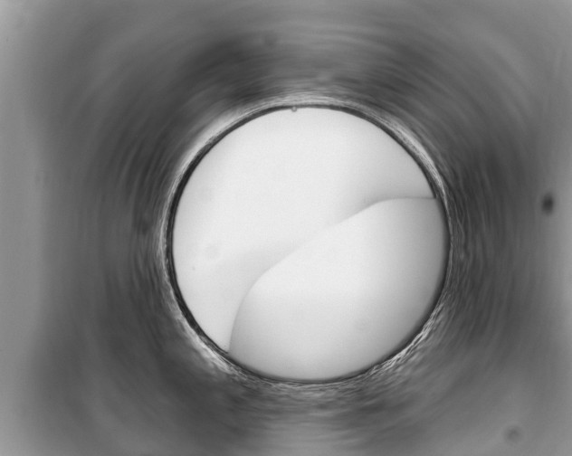 X0000100471197200806130748