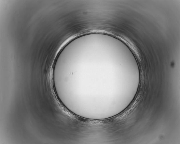 X0000100471198200806130748