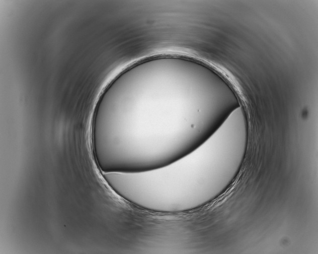 X0000100471199200806130748