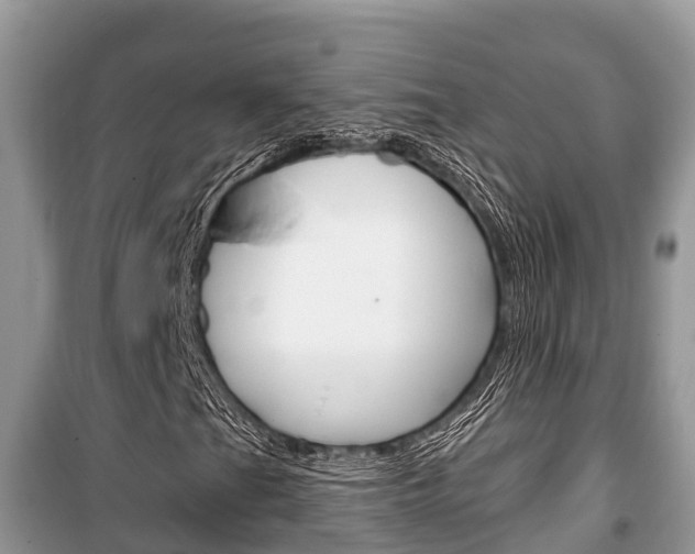 X0000100471201200806130747