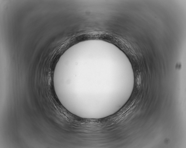 X0000100471204200806130747