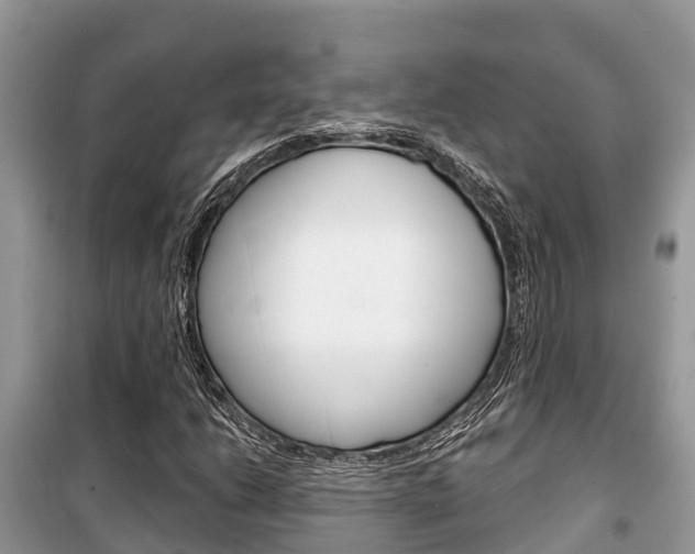 X0000100471206200806130747