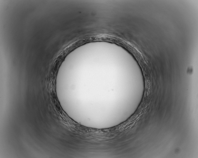 X0000100471207200806130747
